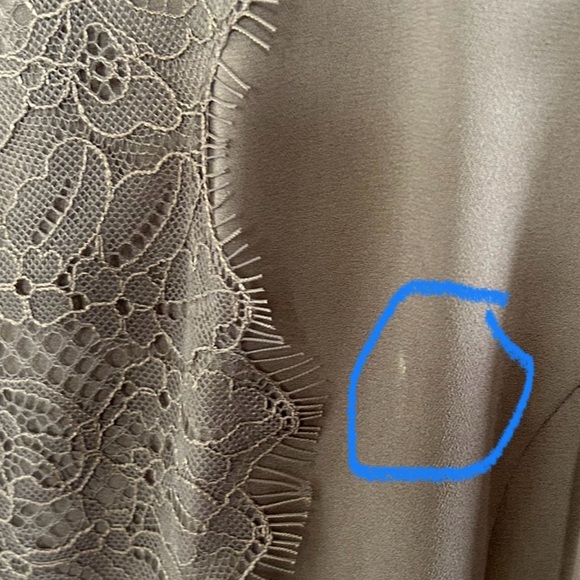 NWT BANANA REPUBLIC Tan Lace Pleated Dress - Picture 8 of 8